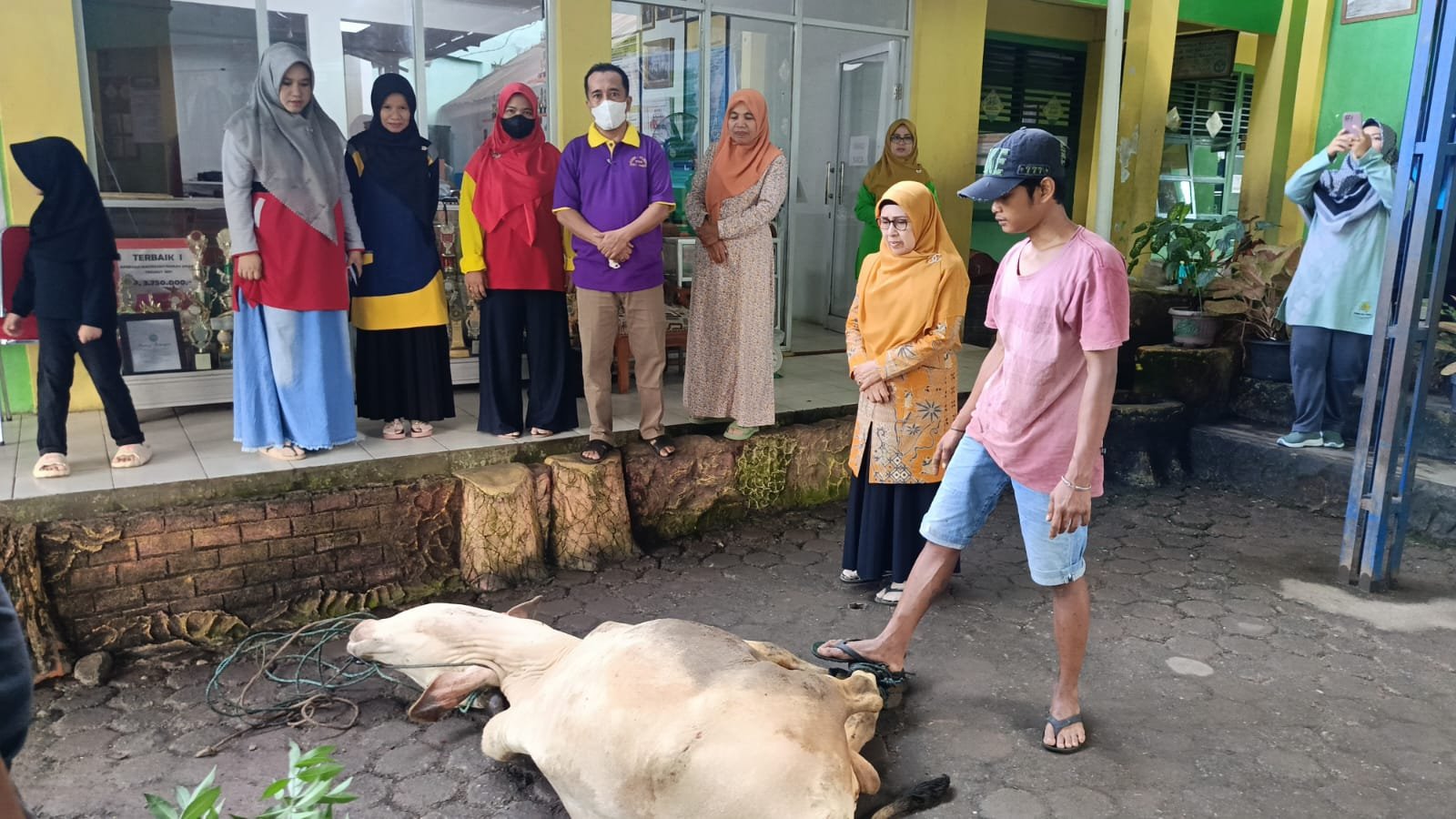 MIN 4 Kota Padang Selenggarakan Penyembelihan Hewan Qurban